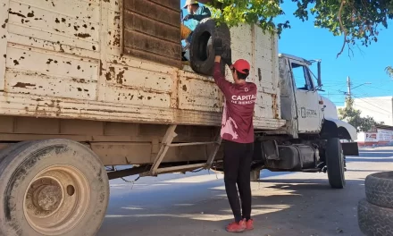 CONTINÚA LA CAMPAÑA DE DESCACHARRIZACIÓN EN CULIACÁN: AHORA EN LA COLONIA 21 DE MARZO