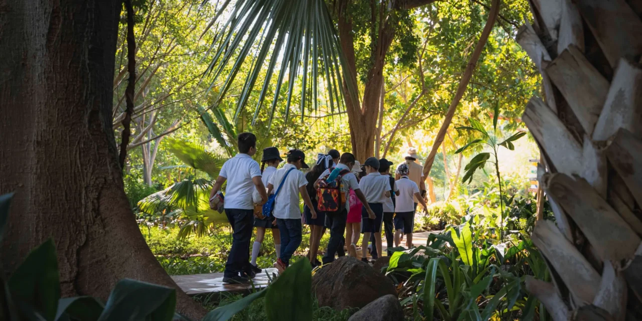 INVITAN A APOYAR A 500 NIÑOS Y NIÑAS PARA QUE DISFRUTEN DE UN VIAJE BOTÁNICO