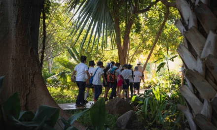 INVITAN A APOYAR A 500 NIÑOS Y NIÑAS PARA QUE DISFRUTEN DE UN VIAJE BOTÁNICO