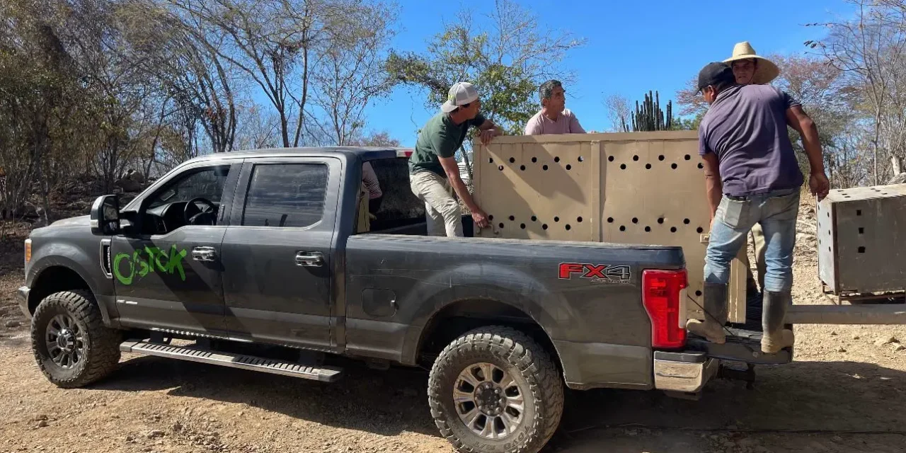 UNIDAD DE RESCATE DEL SANTUARIO OSTOK SUFRE VIOLENTO ROBO