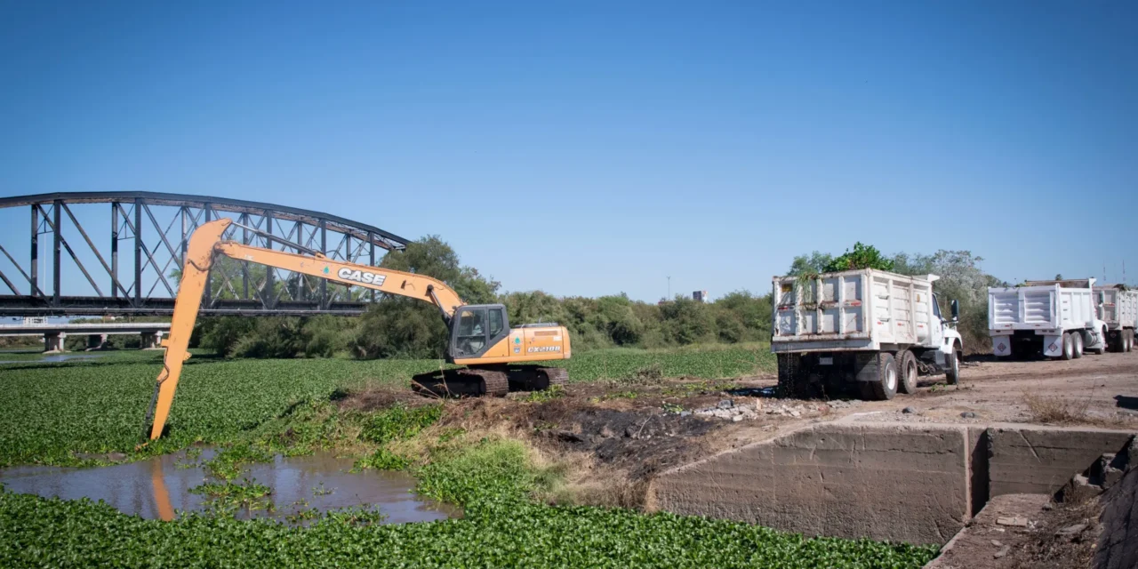 AYUNTAMIENTO DE CULIACÁN INICIA RETIRO DE LIRIO ACUÁTICO EN LA PRESA DERIVADORA