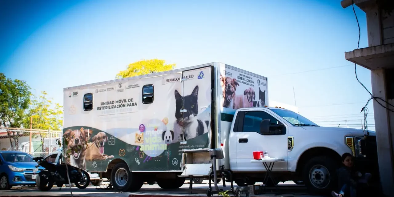 INICIA CAMPAÑA DE ESTERILIZACIÓN PARA PERROS Y GATOS EN LA UNIDAD DIF VALLADO