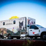 INICIA CAMPAÑA DE ESTERILIZACIÓN PARA PERROS Y GATOS EN LA UNIDAD DIF VALLADO