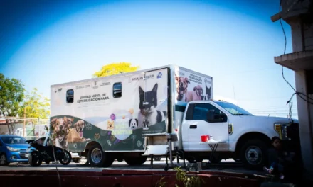 INICIA CAMPAÑA DE ESTERILIZACIÓN PARA PERROS Y GATOS EN LA UNIDAD DIF VALLADO