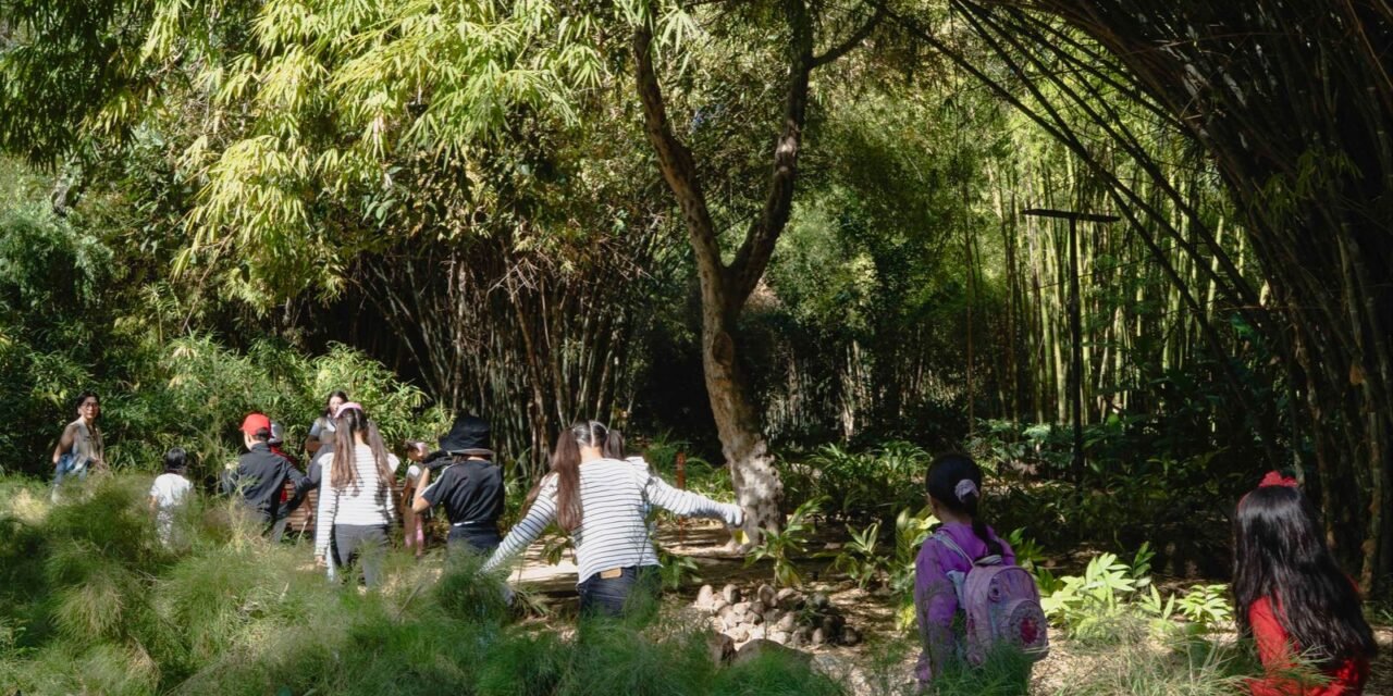 APRENDE MÁS SOBRE LA NATURALEZA EN EL CURSO DE PASCUA INFANTIL “MANOS A LA TIERRA”