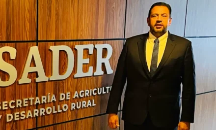ESTIMA LA SADER QUE A PARTIR DEL DÍA 16 DE ESTE MES, DÉ INICIO EL PAGO A LOS MAICEROS: ISMAEL BELLO ESQUIVEL