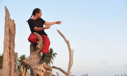 IMIX STEVENS, INTÉRPRETE Y BAILARÍN SIN FRONTERAS: UN TALENTO DANCÍSTICO FORMADO EN LA EPDM