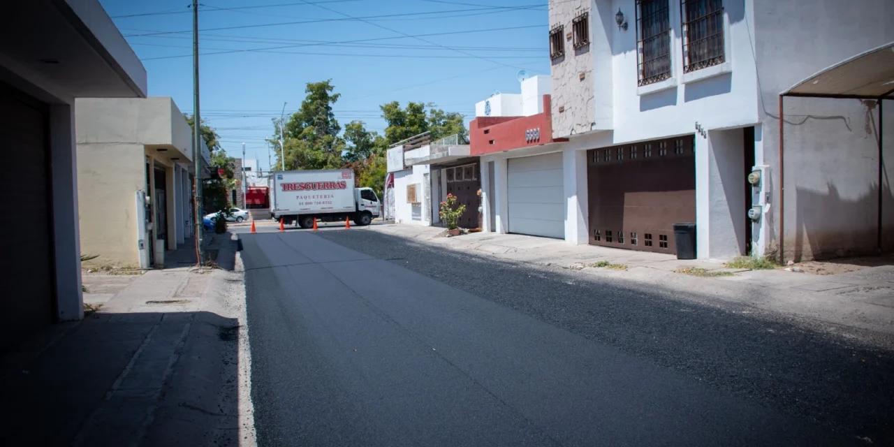 SIGUEN LAS LABORES DE REENCARPETADO EN HACIENDA DE LA MORA