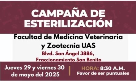 HABRÁ CAMPAÑA DE ESTERILIZACIÓN GRATUITA PARA PERROS MESTIZOS Y GATOS EN CULIACÁN