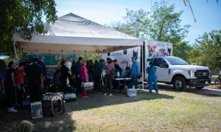 EXITOSA JORNADA DE ESTERILIZACIÓN GRATUITA EN CULIACÁN: 77 MASCOTAS ATENDIDAS EN PRIMER DÍA