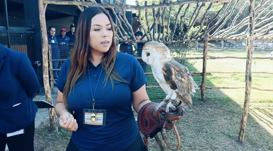 GRAN ACUARIO CELEBRA 2 AÑOS CUMPLIENDO RETOS CON MÁS DE 1 MILLÓN 700 MIL VISITANTES