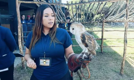 GRAN ACUARIO CELEBRA 2 AÑOS CUMPLIENDO RETOS CON MÁS DE 1 MILLÓN 700 MIL VISITANTES