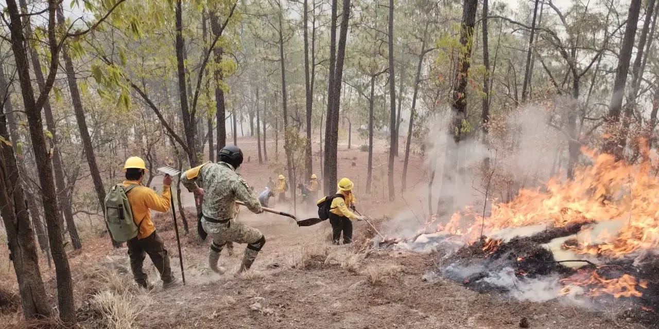 INCENDIO EN CONCORDIA ESTÁ CONTROLADO; EN BADIRAGUATO CONTINÚAN LOS TRABAJOS PARA CONTENERLO: SEBIDES
