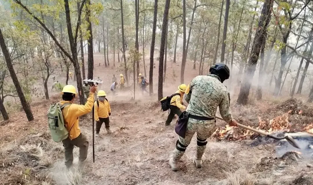 INCENDIOS EN CONCORDIA Y BADIRAGUATO SON ATENDIDOS DE MANERA INTERINSTITUCIONAL: NAVARRETE CUEVAS