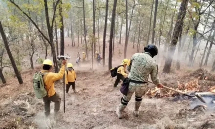 INCENDIOS EN CONCORDIA Y BADIRAGUATO SON ATENDIDOS DE MANERA INTERINSTITUCIONAL: NAVARRETE CUEVAS