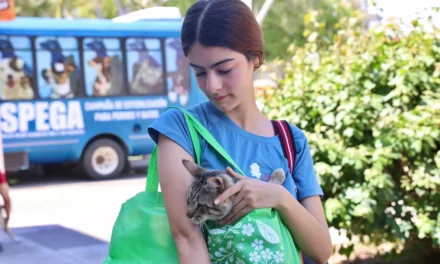 POR SEGUNDO DÍA CONSECUTIVO HAY ESTERILIZACIONES GRATUITAS, ASÍ COMO CONFERENCIAS, TALLERES DE PROTECCIÓN ANIMAL: SEBIDES