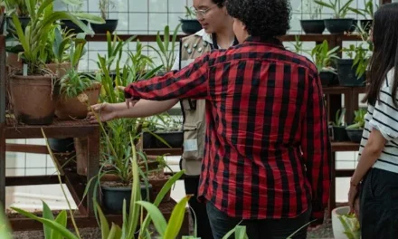 RECORRIDOS POR EL ORQUIDEARIO, BANCO DE GERMOPLASMA Y CINE AL AIRE LIBRE, LOS IMPERDIBLES DE MAYO EN JARDÍN BOTÁNICO CULIACÁN