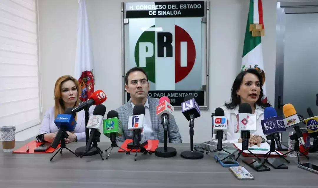 SE REQUIERE CREAR ESTRATEGIAS PARA LA REACTIVACIÓN ECONÓMICA: GPPRI