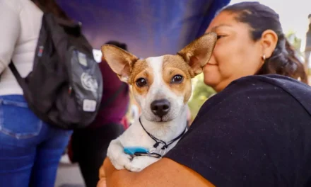 SI QUEREMOS QUE NUESTROS ANIMALES ESTÉN MEJOR DEBEMOS TRABAJAR EN LA CONCIENCIA: SEBIDES