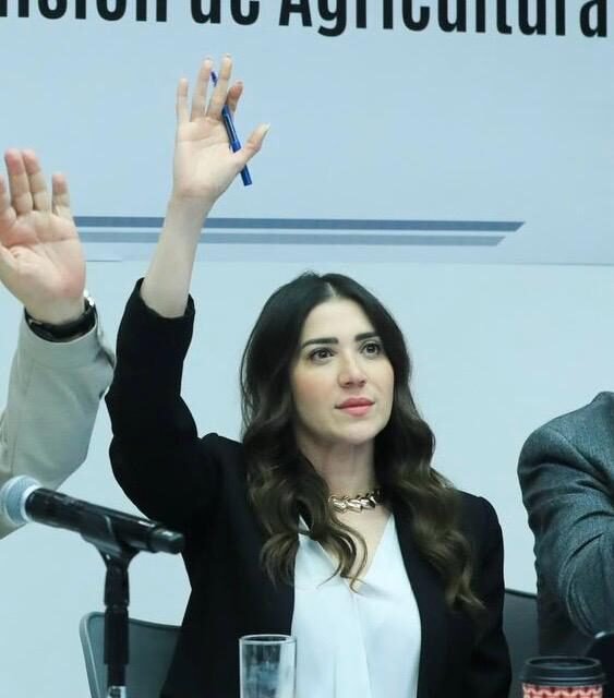 EXIGE SENADORA PALOMA SÁNCHEZ REGRESAR APOYOS AL CAMPO DE SINALOA
