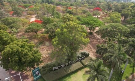 JARDÍN BOTÁNICO CULIACÁN Y PARQUE ECOLÓGICO PROPORCIONAN SERVICIOS AMBIENTALES PARA MITIGAR EFECTOS DEL CAMBIO CLIMÁTICO