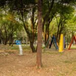 EL MAM OFRECERÁ EL CURSO DE VERANO MODERNOS EN ACCIÓN. UN VIAJE POR EL TIEMPO