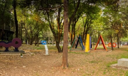 EL MAM OFRECERÁ EL CURSO DE VERANO MODERNOS EN ACCIÓN. UN VIAJE POR EL TIEMPO