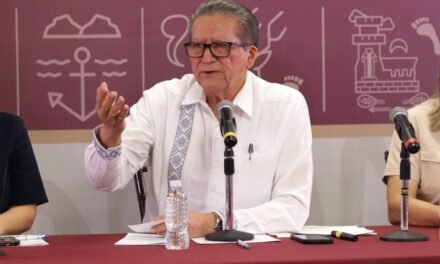 OPERATIVOS DE REVISIÓN HAN LOGRADO DISMINUIR LA CIRCULACIÓN DE VEHÍCULOS SIN IDENTIFICACIÓN: CASTRO MELÉNDREZ