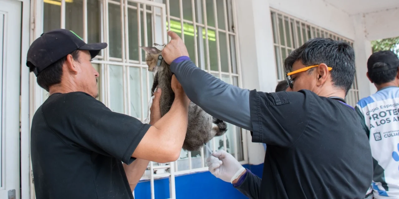 CON ÉXITO Y AMPLIA PARTICIPACIÓN SE REALIZAN CAMPAÑAS DE SALUD Y BIENESTAR EN LOMA DE RODRIGUERA