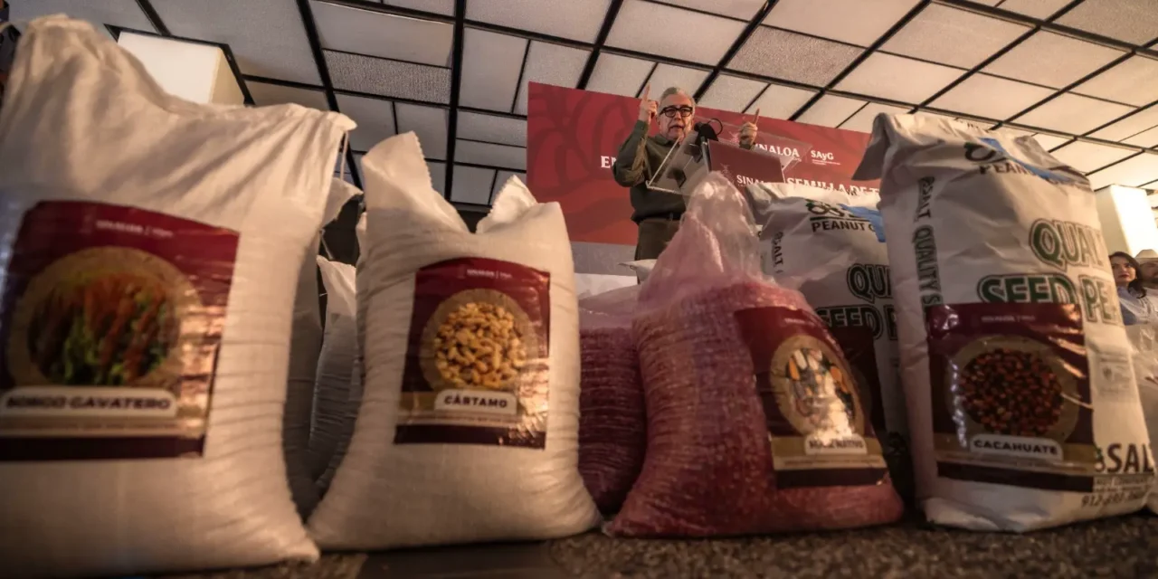 CON UNA INVERSIÓN DE 35 MDP, EL GOBERNADOR ROCHA ENTREGA SEMILLA A PRODUCTORES DE TEMPORAL Y GANADEROS