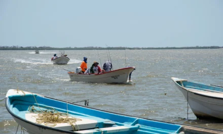 ÉXITO TOTAL EN EL III TORNEO COSPITA CULIACÁN-FISH 2025: PESCA, PREMIOS Y TRADICIÓN EN LA BAHÍA