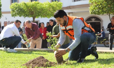 INICIAN EN ELOTA PROGRAMA DE PLANTACIÓN DE FRUTILLA, ESPECIE EN PELIGRO DE EXTINCIÓN