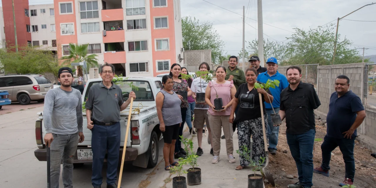 VECINOS Y AYUNTAMIENTO REHABILITAN ÁREA PÚBLICA EN LOMAS DE SAN ISIDRO
