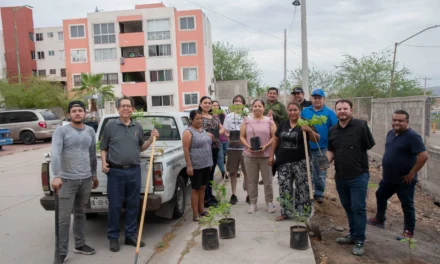 VECINOS Y AYUNTAMIENTO REHABILITAN ÁREA PÚBLICA EN LOMAS DE SAN ISIDRO