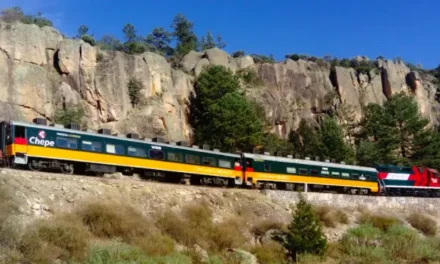 TREN CHEPE EXPRESS OFRECERÁ DESCUENTOS DURANTE EL VERANO