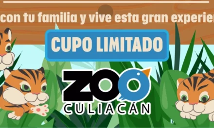EL ZOOLÓGICO DE CULIACÁN INVITA A DAR LA BIENVENIDA A LOS NUEVOS CUATRO CACHORROS DE TIGRE DE BENGALA