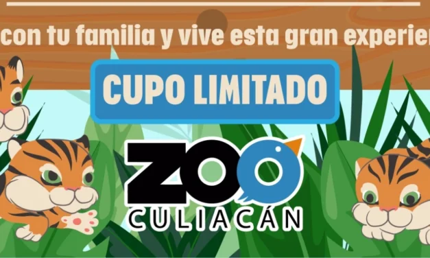 EL ZOOLÓGICO DE CULIACÁN INVITA A DAR LA BIENVENIDA A LOS NUEVOS CUATRO CACHORROS DE TIGRE DE BENGALA
