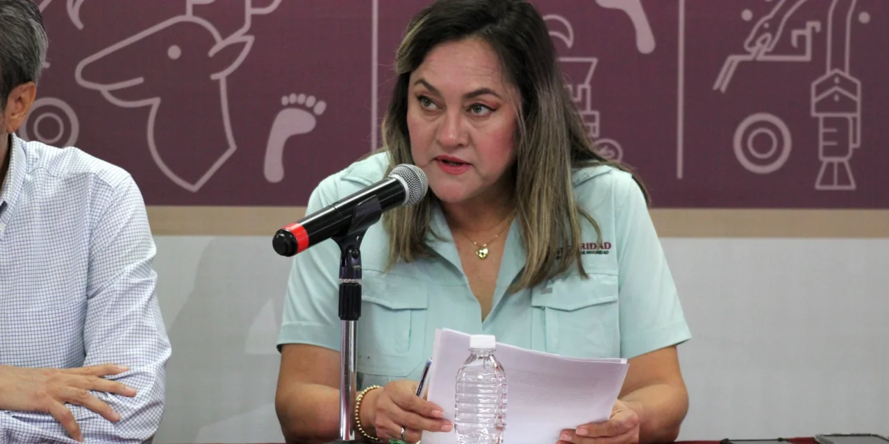 AUTORIDADES ASEGURAN UN CIVIL, VEHÍCULOS, PRESUNTAS DROGAS Y PRECURSORES QUÍMICOS EN CULIACÁN Y NAVOLATO