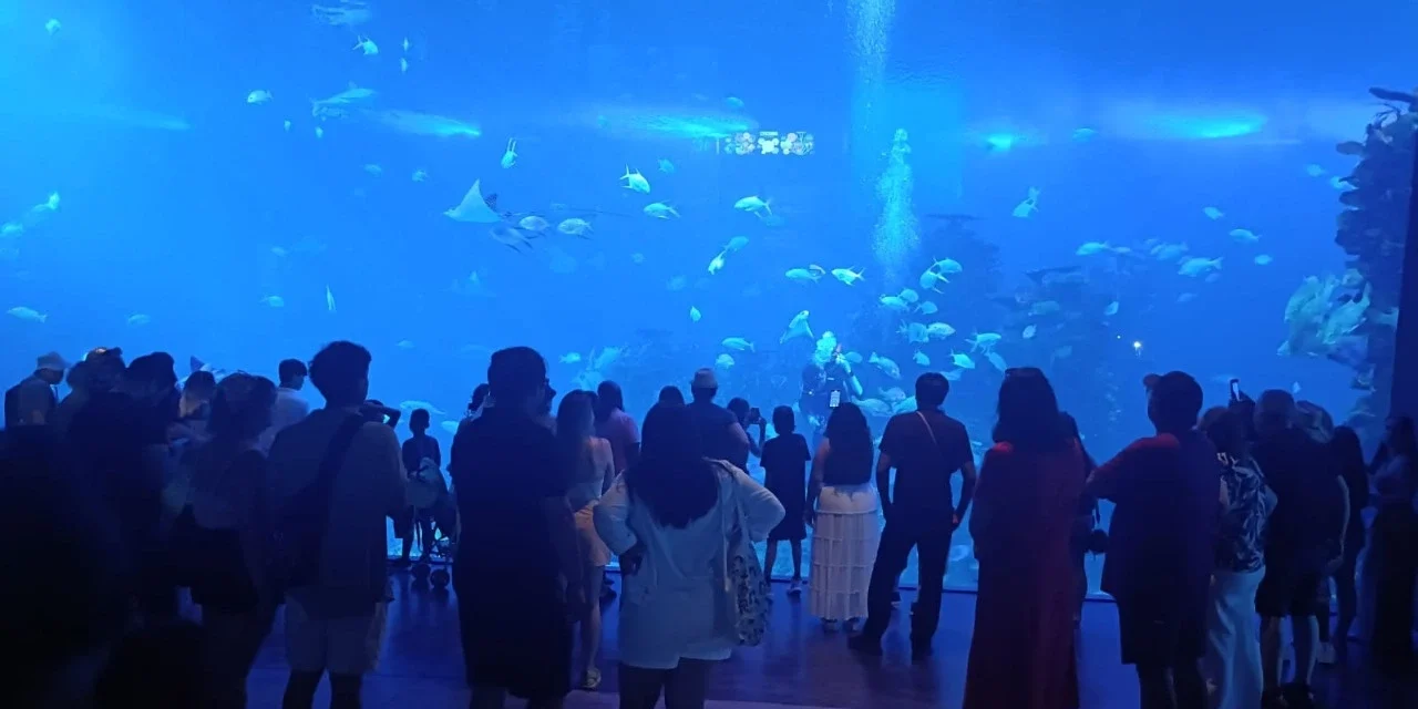 ¡CIERRA EL VERANO CON UNA AVENTURA INOLVIDABLE EN EL GRAN ACUARIO MAZATLÁN!