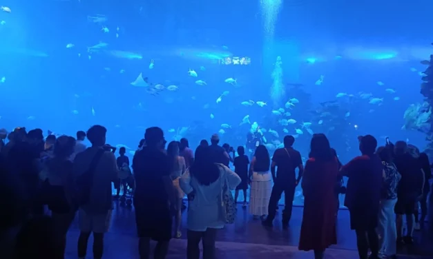 ¡CIERRA EL VERANO CON UNA AVENTURA INOLVIDABLE EN EL GRAN ACUARIO MAZATLÁN!