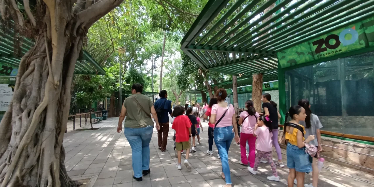 CURSO DE VERANO «DESCUBRIENDO UN MUNDO» EN EL ZOOLÓGICO