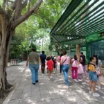 CURSO DE VERANO «DESCUBRIENDO UN MUNDO» EN EL ZOOLÓGICO