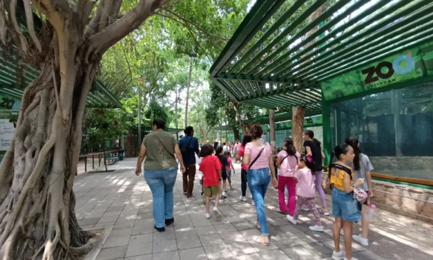 CURSO DE VERANO «DESCUBRIENDO UN MUNDO» EN EL ZOOLÓGICO
