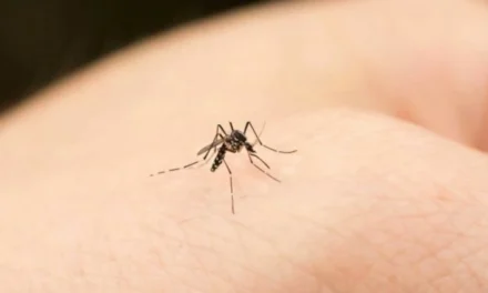 INVESTIGADORES DE LA UAS BUSCAN A TRAVÉS DE MODELOS BIOLÓGICOS OBTENER DIAGNÓSTICOS CERTEROS EN ENFERMEDADES COMO DENGUE, ZIKA Y OTRAS VIROSIS