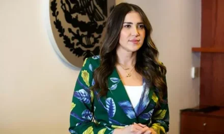 ”LA INDUSTRIA DE LA CONSTRUCCIÓN DE SINALOA ESTÁ EN CRISIS”, DENUNCIA LA SENADORA PALOMA SÁNCHEZ RAMOS