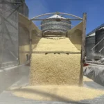 ALERTA COUC POR ALZA EN IMPORTACIÓN DE MAÍZ