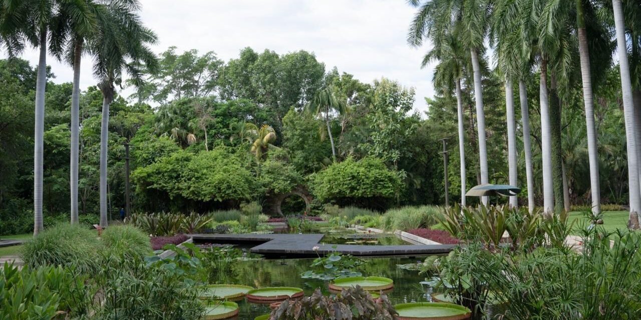 JARDÍN BOTÁNICO CULIACÁN Y PARQUE ECOLÓGICO, ESPACIOS VERDES URBANOS QUE INSPIRAN A LA COMUNIDAD