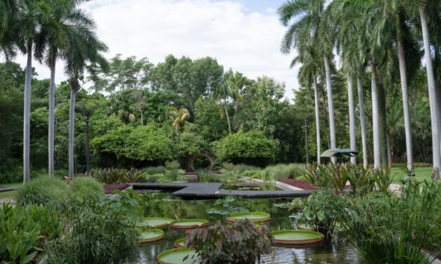 JARDÍN BOTÁNICO CULIACÁN Y PARQUE ECOLÓGICO, ESPACIOS VERDES URBANOS QUE INSPIRAN A LA COMUNIDAD
