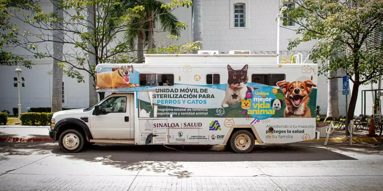 ARRANCA CAMPAÑA DE ESTERILIZACIÓN DE PERROS Y GATOS A UN COSTADO DEL AYUNTAMIENTO DE CULIACÁN