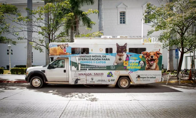 ARRANCA CAMPAÑA DE ESTERILIZACIÓN DE PERROS Y GATOS A UN COSTADO DEL AYUNTAMIENTO DE CULIACÁN